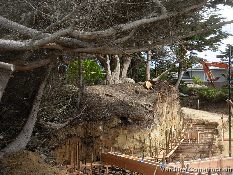 REEF-P015.JPG