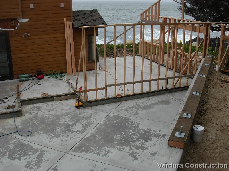 REEF-P029.JPG