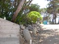 REEF-P096